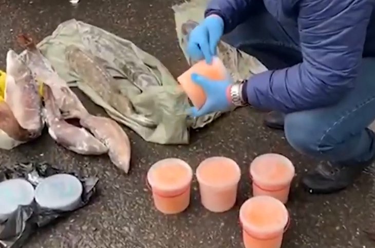 300 килограммов нелегальной рыбы и икры изъяли у браконьеров  в Иркутске