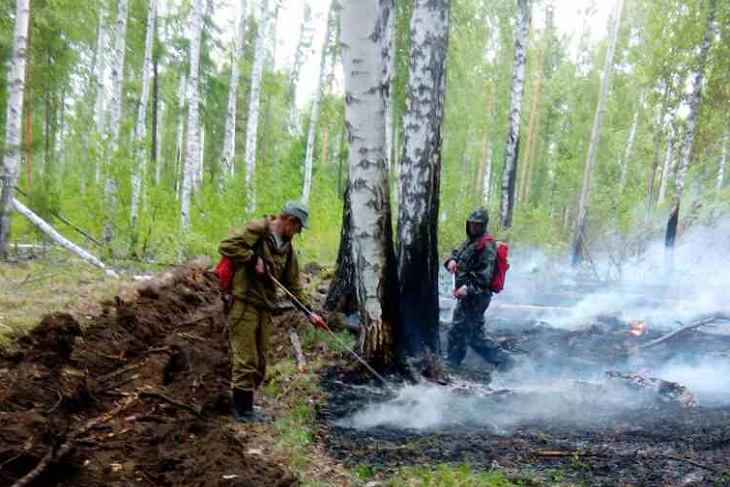 Девять лесных пожаров ликвидированы в Иркутской области за сутки