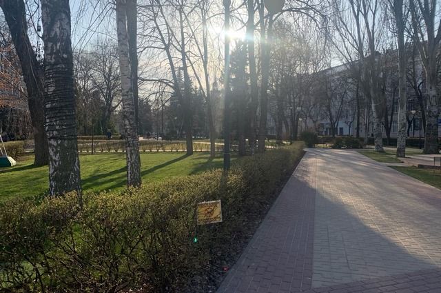 Парк 300-летия Иркутска благоустроят к сентябрю