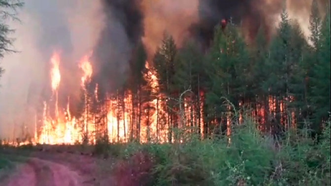 В 10 раз могут увеличить штрафы виновным в лесных пожарах