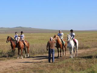 В Усть-Ордынском собирают деньги на прокорм лошадей