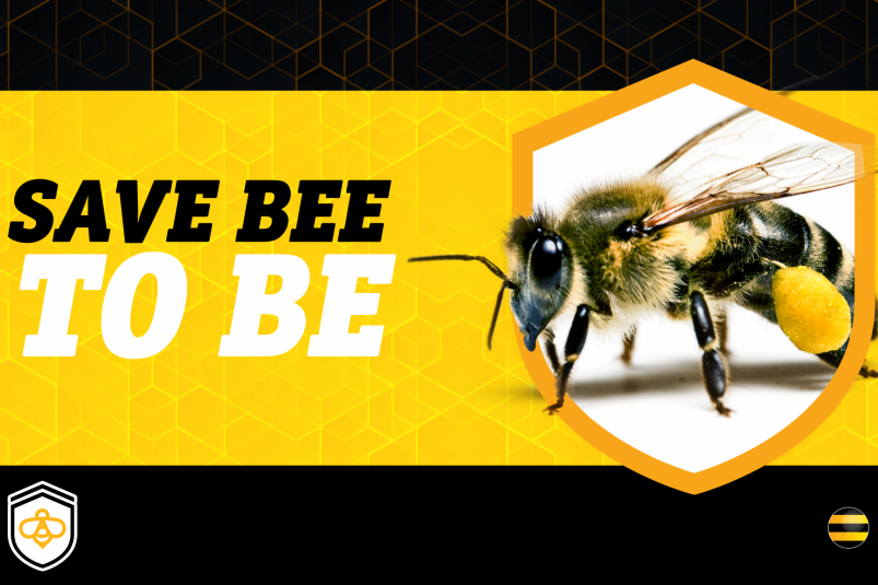Билайн запускает информационную платформу, призванную сократить массовую гибель пчел в РФ
