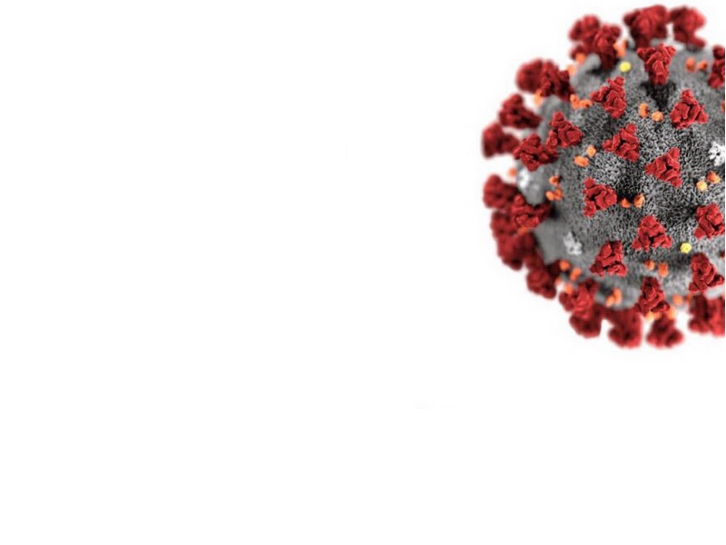Еще один человек умер от коронавируса в Приангарье <meta itemprop=url content=https://irksib.ru/allnews/12-social/18651-eshche-odin-chelovek-umer-ot-koronavirusa-v-priangare />