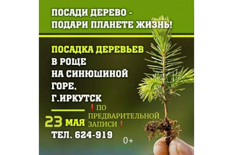 Депутат Думы Иркутска приглашает жителей Синюшиной Горы посадить деревья в роще