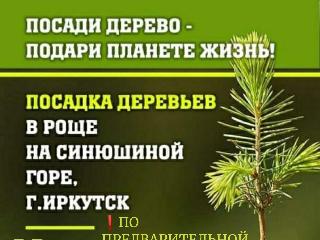 Депутат Григорий Вакуленко приглашает посадить деревья в роще