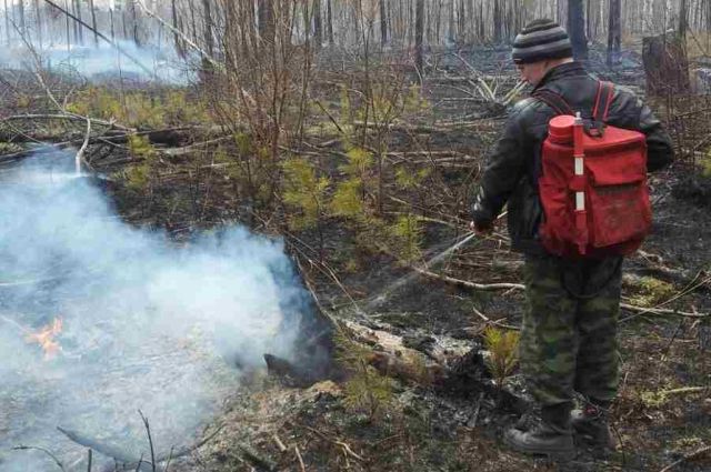 Шесть пожаров потушили за сутки в лесах Иркутской области