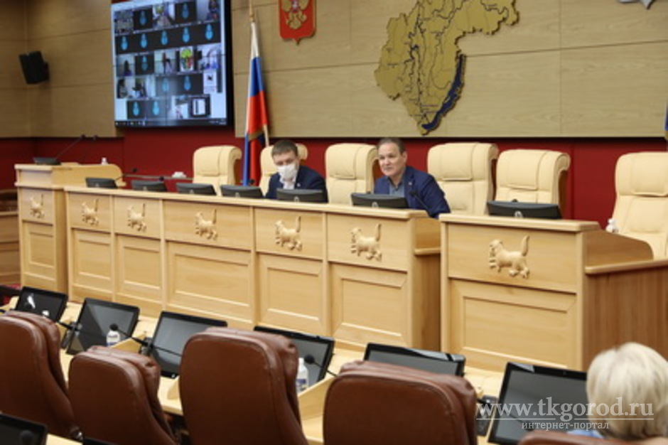 Ряд законопроектов рассмотрен на заседании комитета Законодательного Собрания Иркутской области по здравоохранению и социальной защите