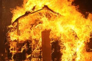 Деревня Пойма могла сгореть из-за лесного пожара, пришедшего из Красноярского края