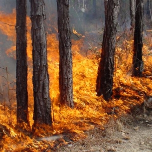 Два крупных пожара перешли из Красноярского края в Иркутскую область