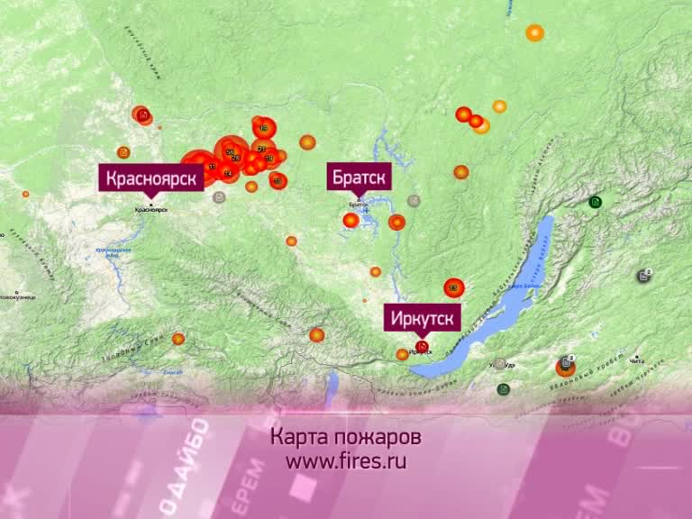 Борьбу с лесными пожарами ведут 560 человек
