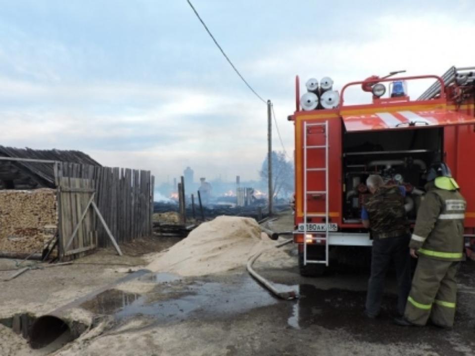 Пожар в садоводствах Вихоревки возник из-за неосторожного обращения с огнем