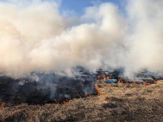 Высокие классы пожароопасности ожидаются в Иркутской области