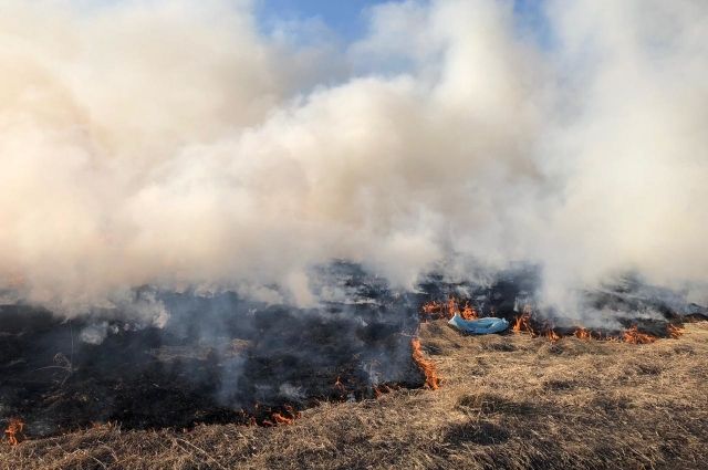 Высокие классы пожароопасности прогнозируют на выходные в Иркутской области