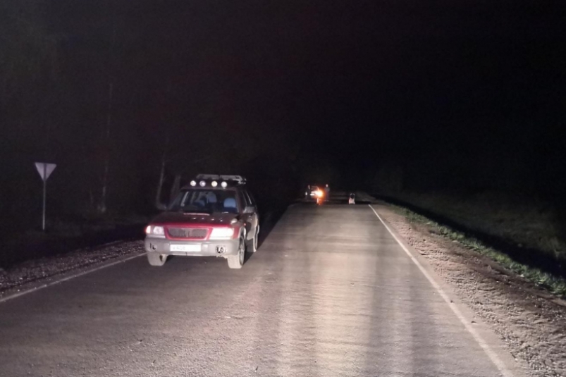 Водитель на Subaru Forester насмерть сбил 36-летнего мужчину в Аларском районе Приангарья