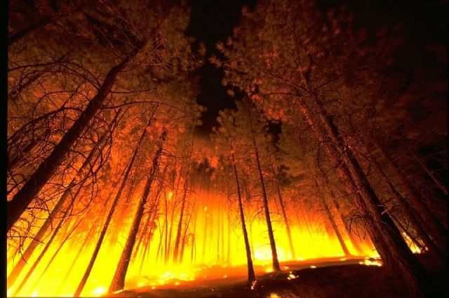 Семь природных пожаров потушили за сутки в Иркутской области