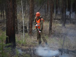 В Иркутской области горят более 500 гектаров леса