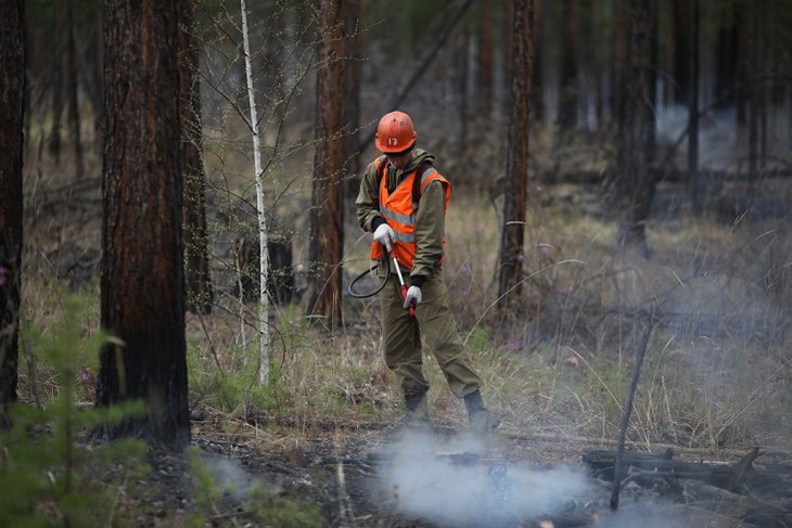 Площадь лесных пожаров в Иркутской области увеличилась до 614 гектаров
