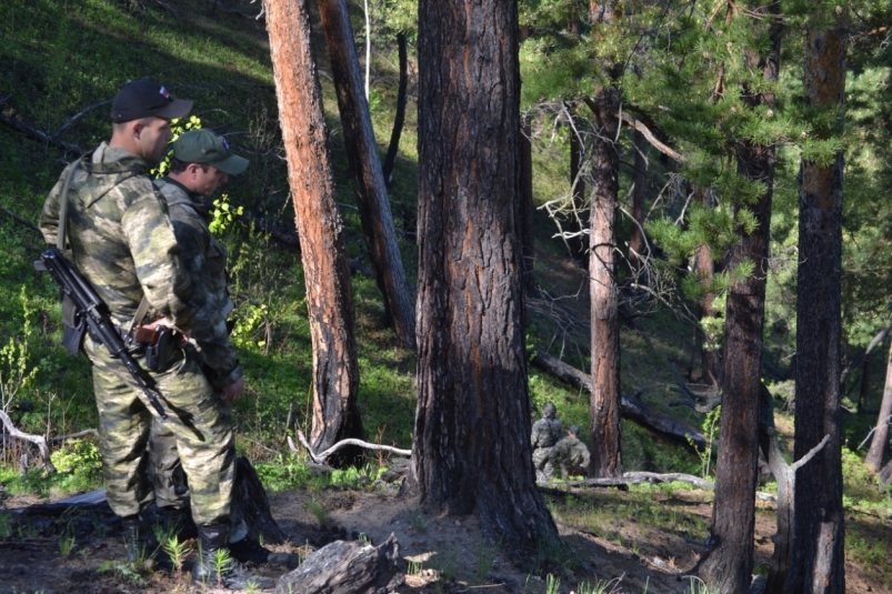 Уголовное дело завели по факту лесного пожара в Тайшетском районе Иркутской области