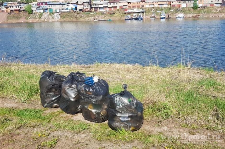 Житель Братска в одиночку очистил залив в Энергетике от мусора