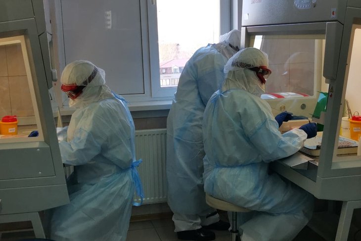 Иркутская область вошла в десятку регионов по количеству проводимых тестов на коронавирус