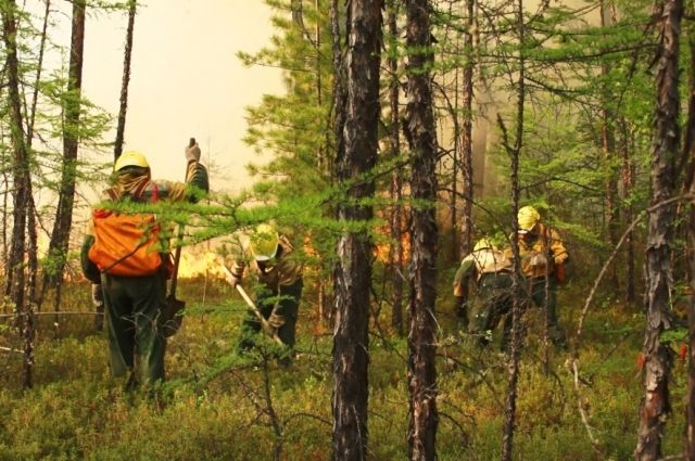 На 71% сократились площади лесных пожаров в Иркутской области