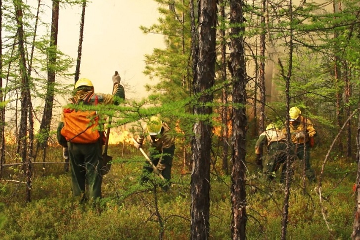 Три тысячи гектаров леса горит в Иркутской области
