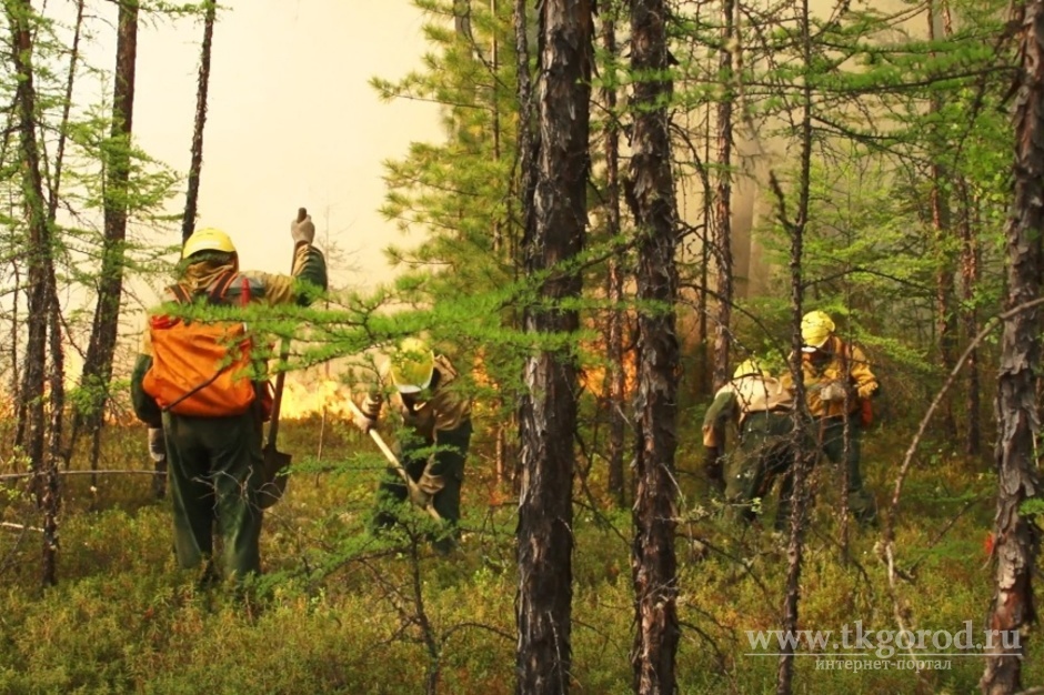 Более 90% лесных пожаров ликвидируются в Иркутской области в первые сутки