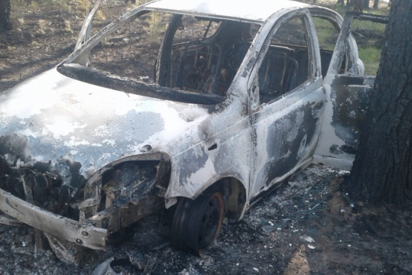 Владелец сгоревшего авто мог стать причиной лесного пожара в Иркутской области