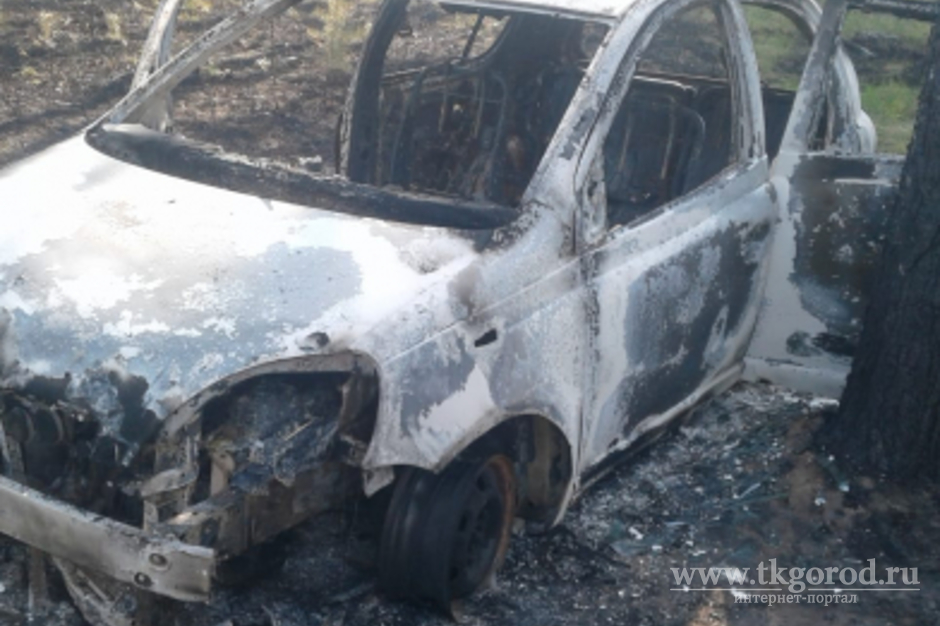 В Иркутской области полицейские установили вероятного виновника лесного пожара