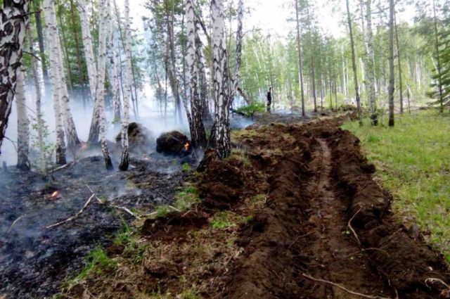 Шесть лесных пожаров потушили в Иркутской области