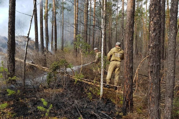 Площадь лесных пожаров в Иркутской области увеличилась на 500 гектаров
