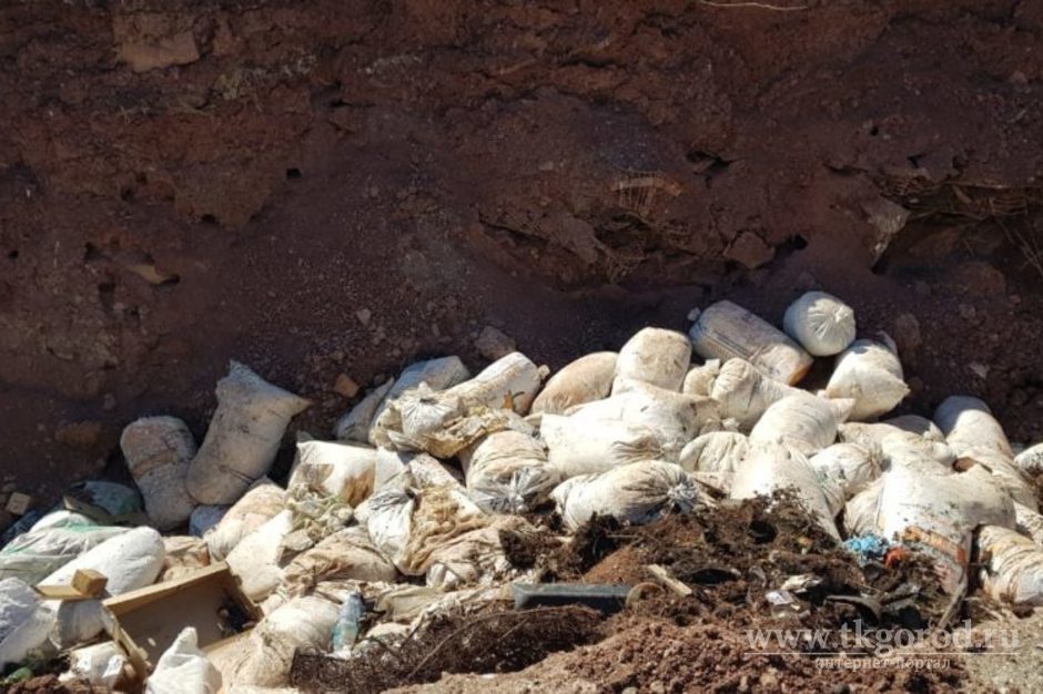 В районе Братской птицефабрики ликвидирована свалка отходов общим объемом свыше 250 тонн