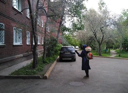 В Иркутске в круглосуточном режиме ведется обработка деревьев от вредителей