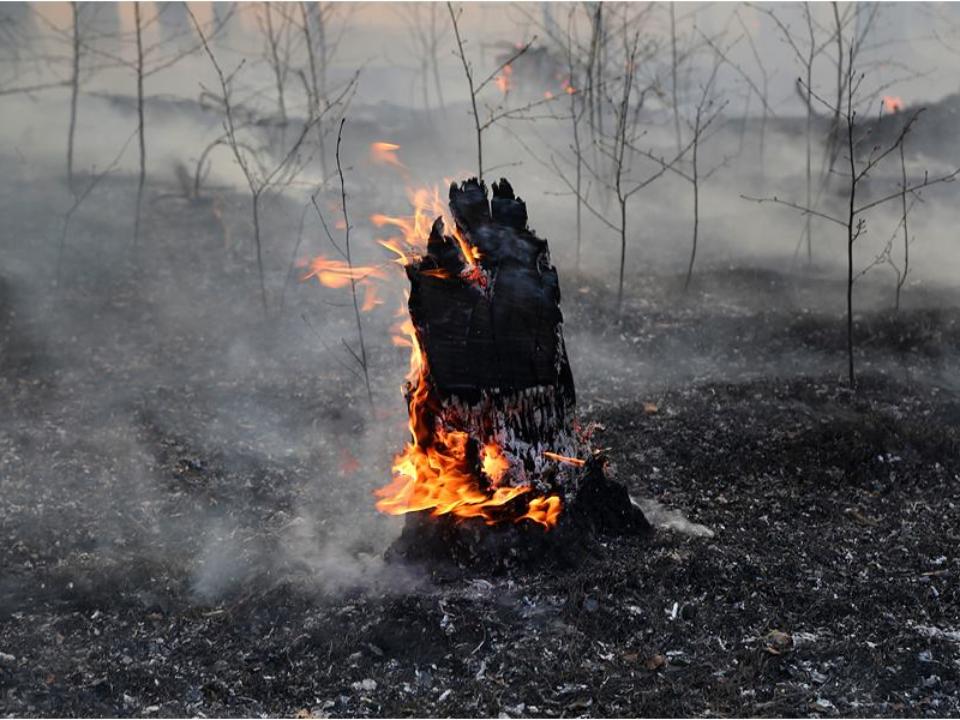 Оптимизация расходов на пожарный надзор грозит Усть-Куту местными «бубновками»