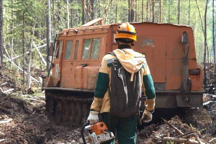 В Тайшетском районе продолжает гореть 2700 гектаров леса