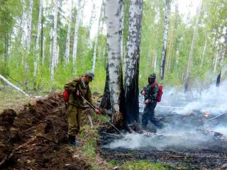 Крупнейший природный пожар в Тайшетском районе Приангарья локализован