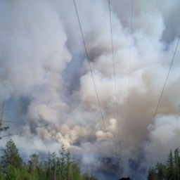 Четыре лесных пожара потушили за прошедшие сутки в Иркутской области