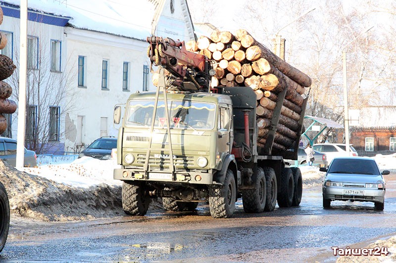 За три месяца Иркутская область продала леса на десять годовых бюджетов Тайшетского района