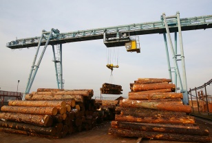 В Правительстве Иркутской области обсудили изменение закона о деятельности пунктов приема, переработки и отгрузки древесины