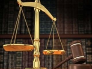 В Приангарье огласили приговор по делу о незаконной рубке в крупном размере