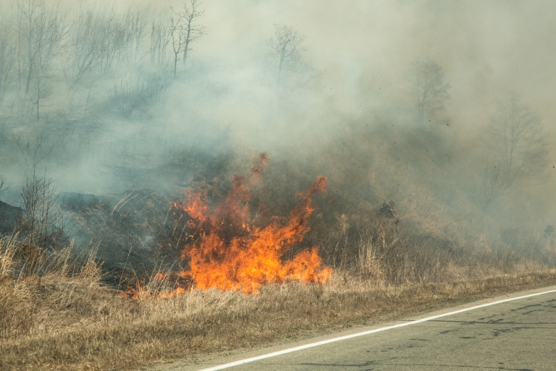 10 лесных пожаров ликвидировано за сутки в Иркутской области