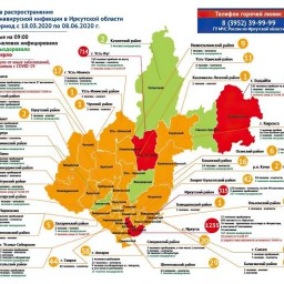 Карта коронавируса: в Тайшете 12 заболевших, в Братске &#8212; 125, в Братском районе &#8212; 19