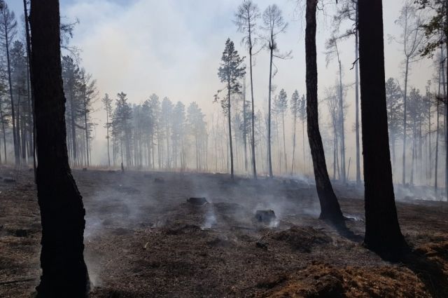 Два пожара потушили за прошедшие сутки в лесах Иркутской области