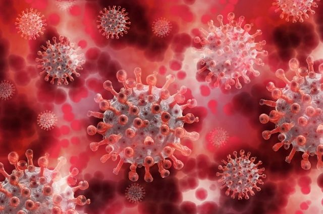 4747 случаев заболевания коронавирусом выявили в Иркутской области