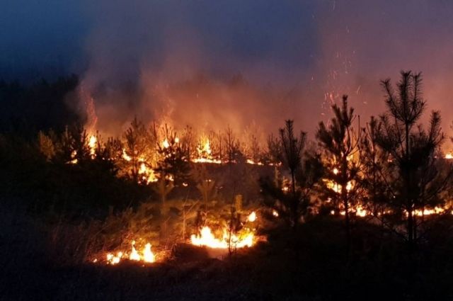 Лес горит в «Заповедном Прибайкалье» в Ольхонском районе