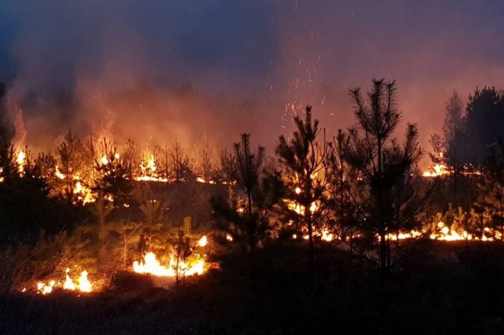 Природный пожар тушат в Байкало-Ленском заповеднике