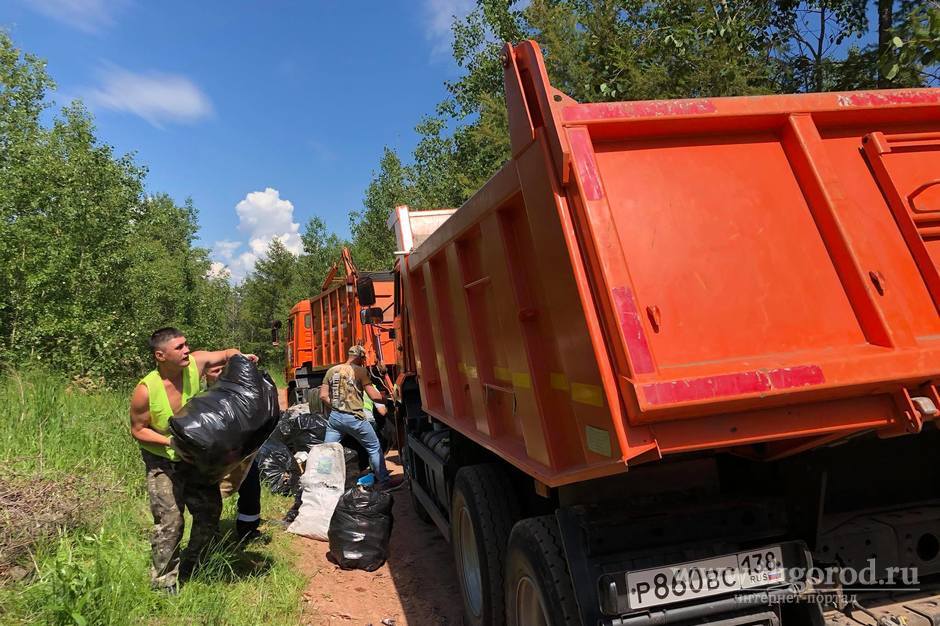 В Братске общественники и оператор по обращению с ТКО собрали и вывезли три тонны мусора из лесной зоны около Речпорта