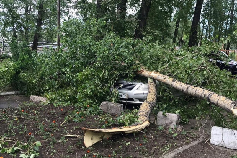 Дерево упало на машину из-за молнии в Черемхове