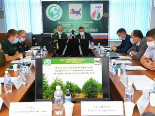 Приангарье получит средства из резервного фонда правительства РФ на сохранение лесов