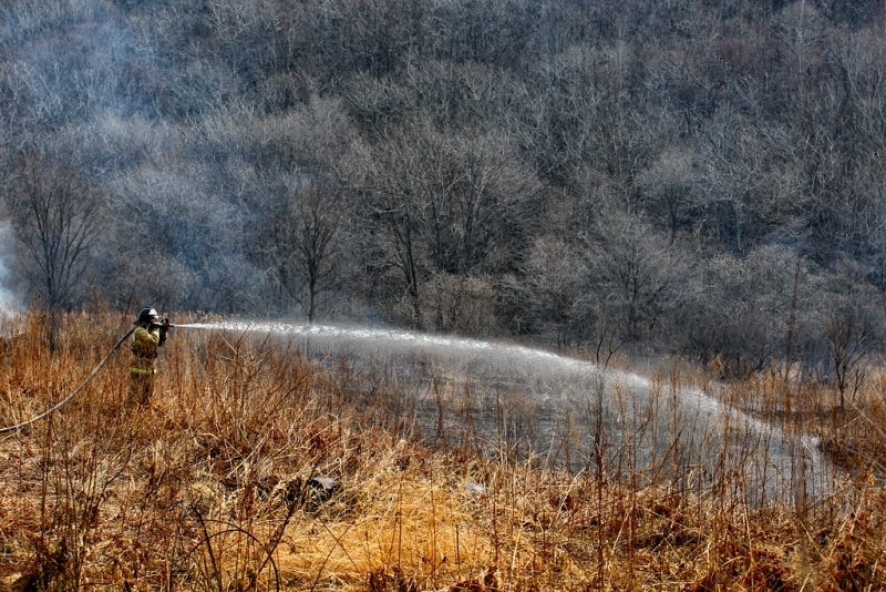 Деревня Пойма сгорела от природного пожара в Иркутской области